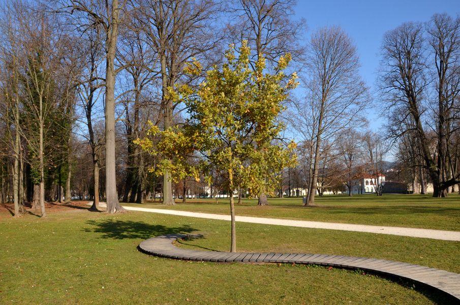 Budatínsky park v jeseni