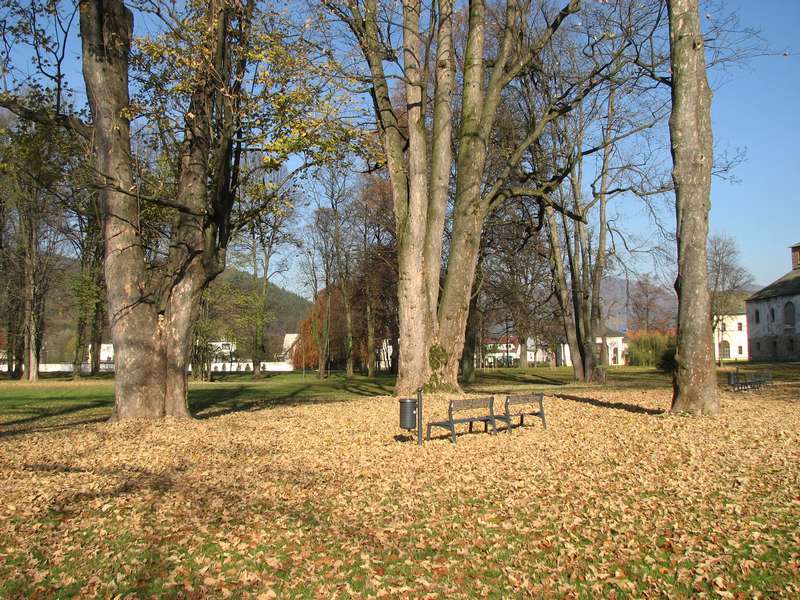 Budatínsky park v jeseni