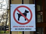 Zákaz vstupu so psom