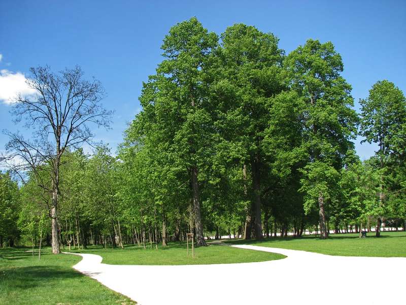 Budatínsky park 
