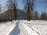 Budatínsky park v zime