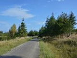 Lesná cesta na Vartovku