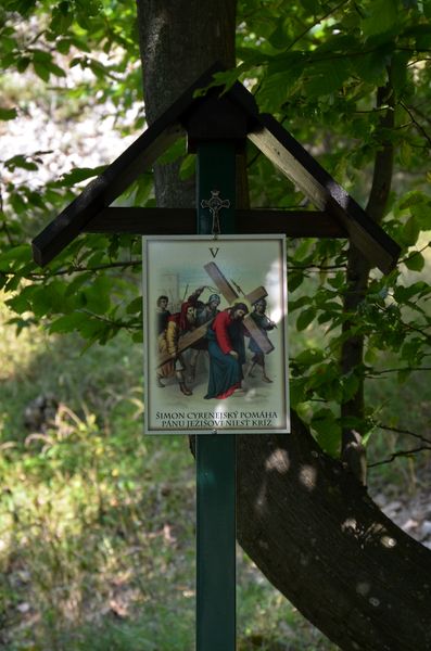 Cirkvi v Žiline