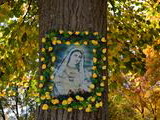 Panna Mária v Šebešťanovej