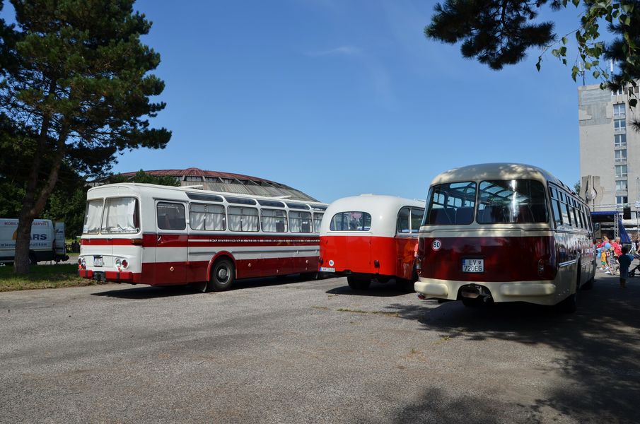 Historické autobusy
