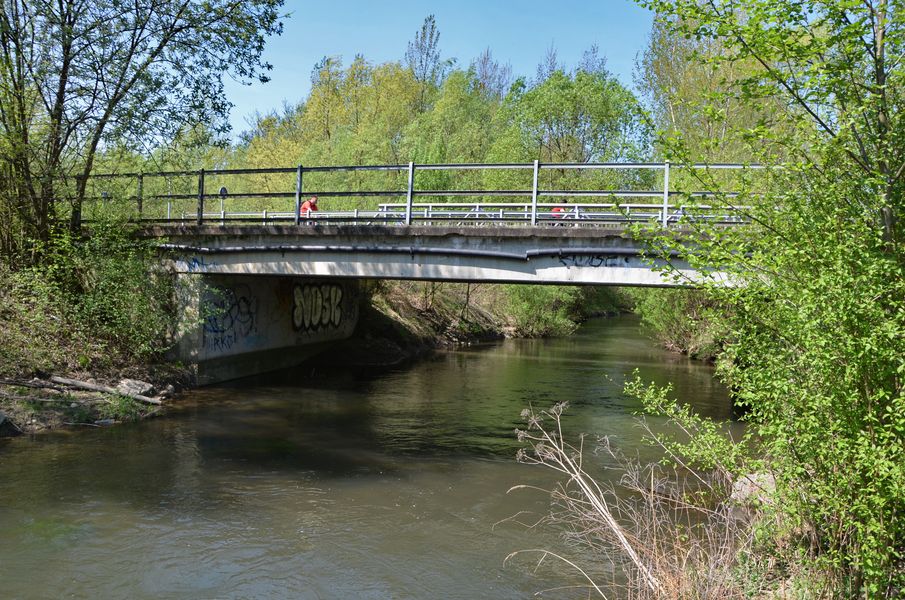 Most ponad biokoridor 