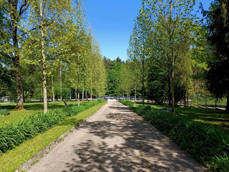Bôrický cintorín