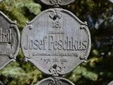 Josef Peschkus, pešiak