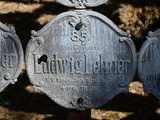 Ludwig Lehner, domobranec