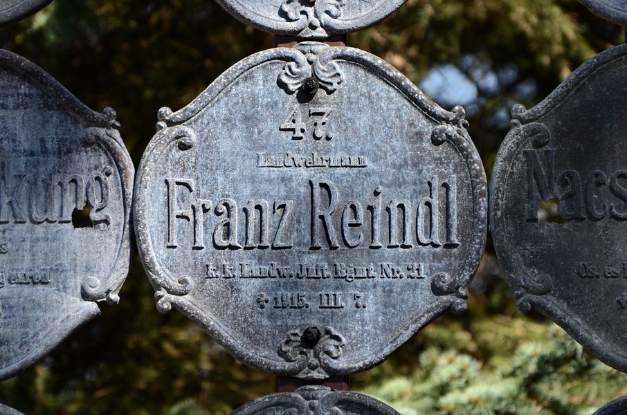 Franz Reindl, domoobranca