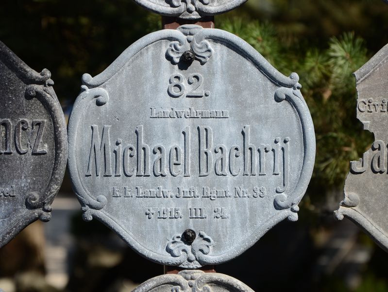 Michael Bachrij, vlastibrana