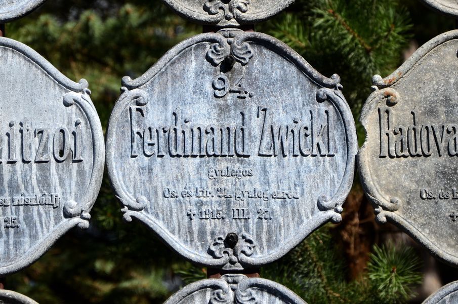 Ferdinand Zwickl, pešiak