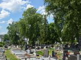 Starý cintorín v Žiline