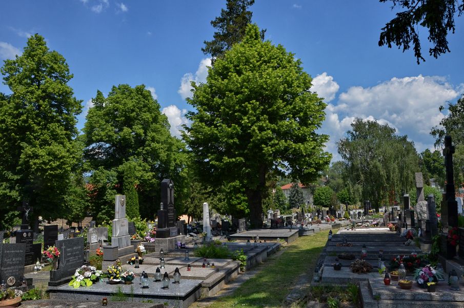 Starý cintorín v Žiline