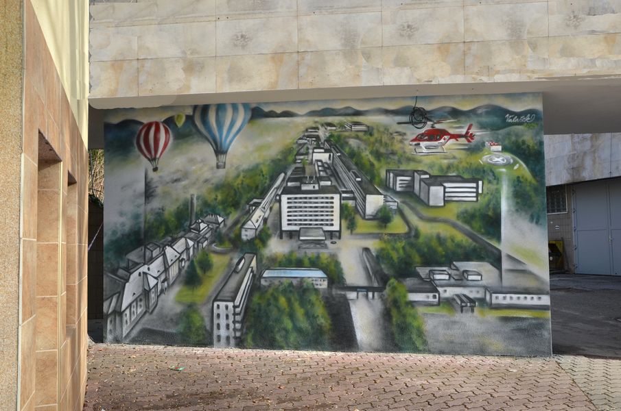 Vstup do nemocnice v Žiline