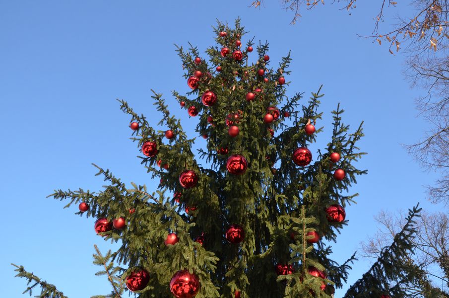 Vianočný strom v Žiline