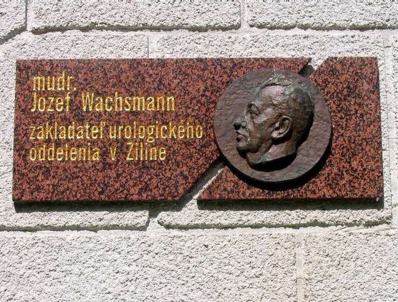 MUDr. Jozef Wachsmann