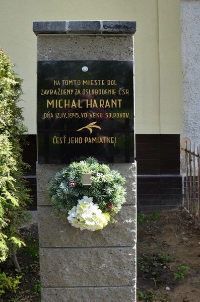 Michal Harant