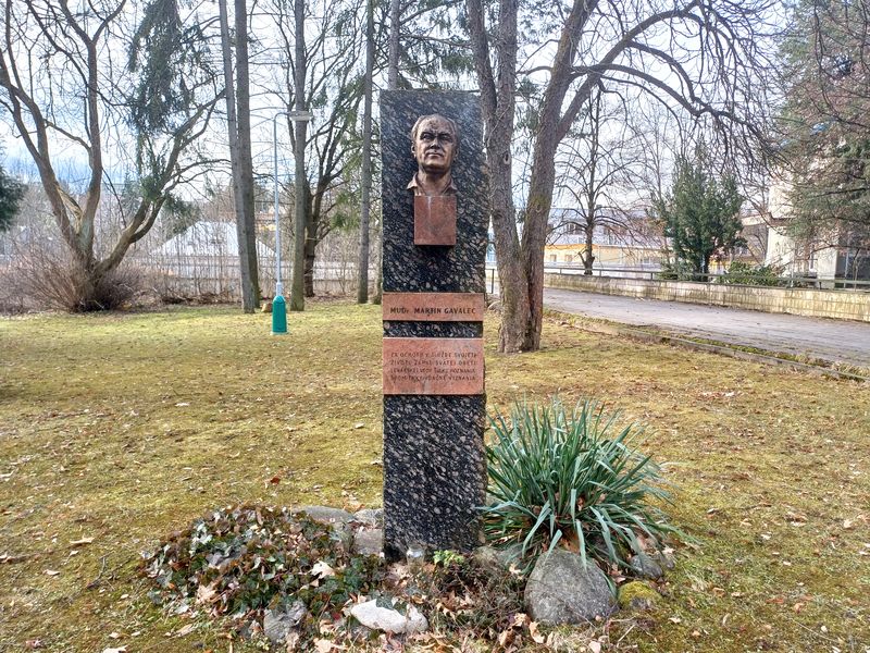 MUDr. Martin Gavalec