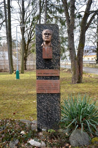 MUDr. Martin Gavalec