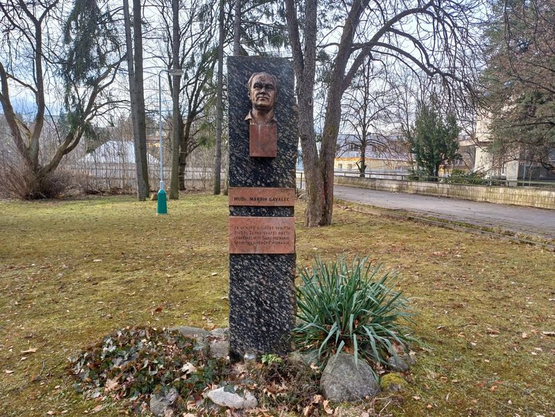 MUDr. Martin Gavalec