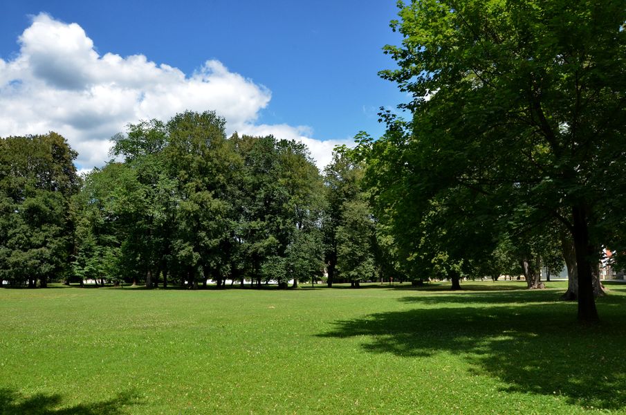 Budatínsky park v lete