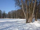 Budatínsky park v zime