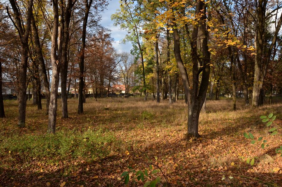 Bytčický park v jeseni