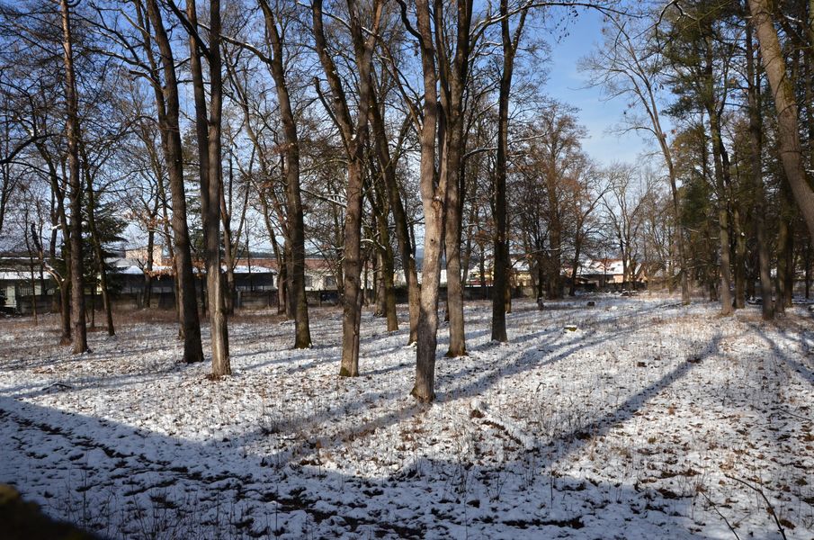Bytčický park v zime