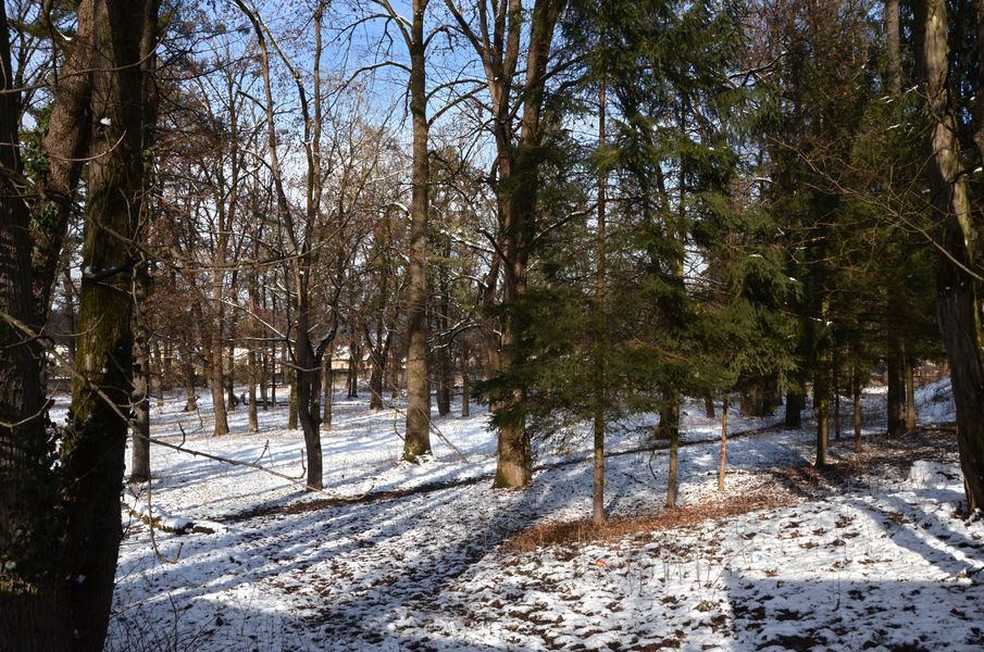Bytčický park v zime