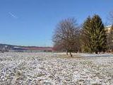 Hlinský park v zime