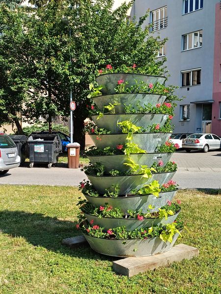 Kvetinové pyramídy 2024