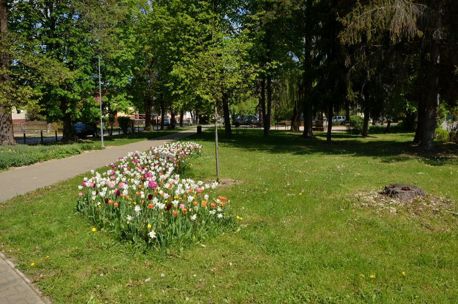 Kvety v Parku Andreja Barčíka