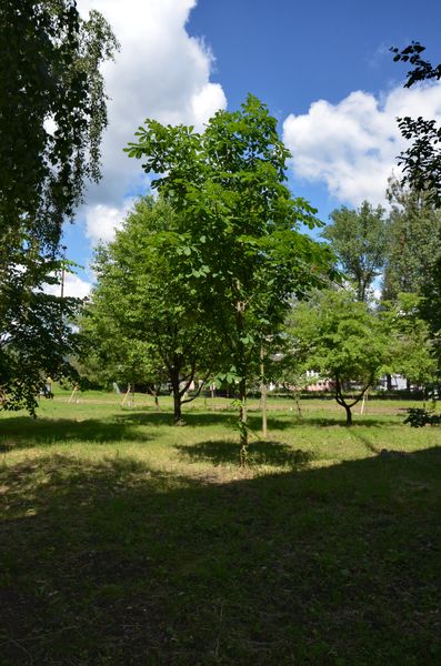 Park Frambor