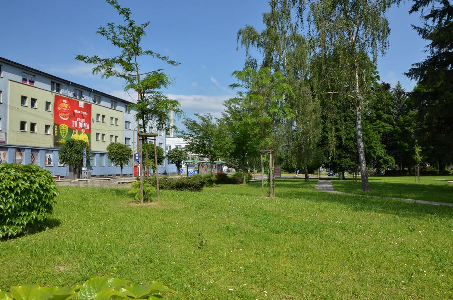 Park Carla Gustava Swenssona