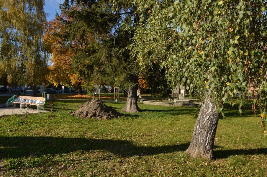 Park Carla Gustava Swenssona