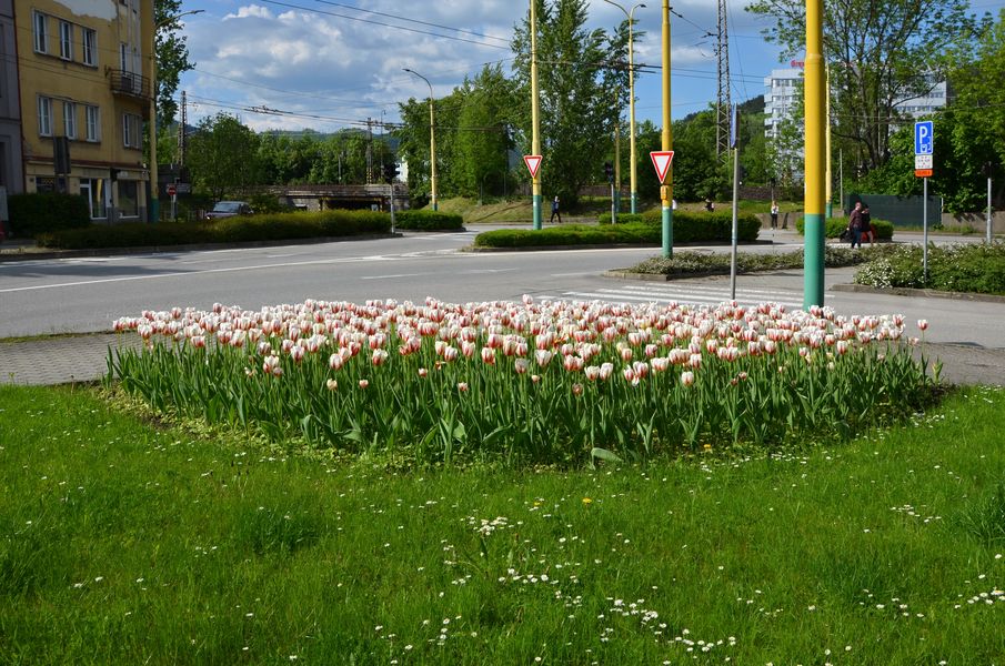 Mesto Žilina