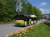 Trolejbusová doprava Bôrik