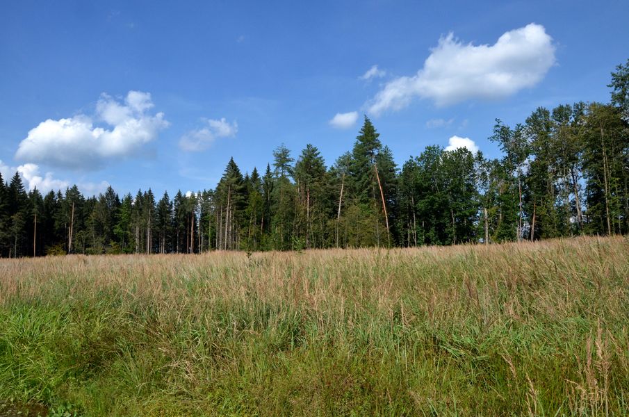 Bánovský háj 