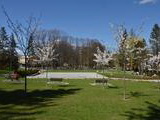 Park na jar