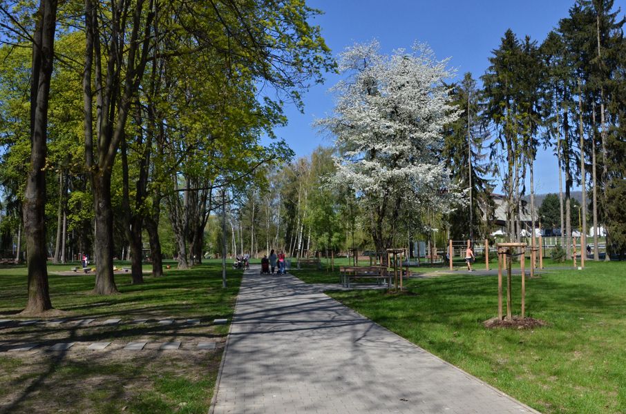 Park v lete