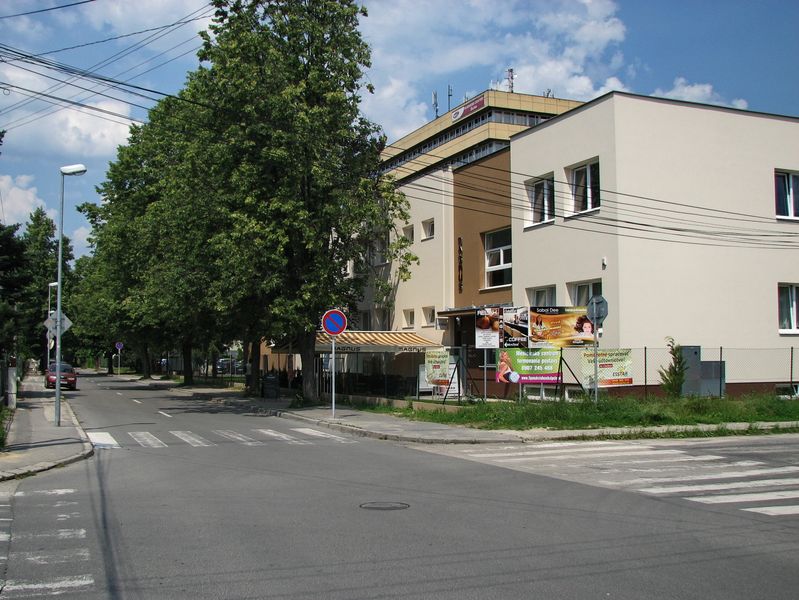 Ulica Alexandra Rudnaya
