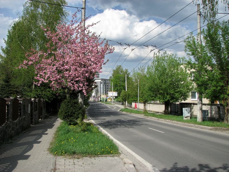Tajovského ulica