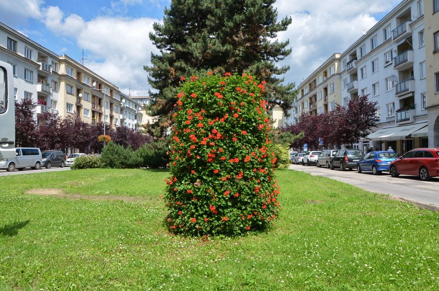 Ulica Antona Bernoláka