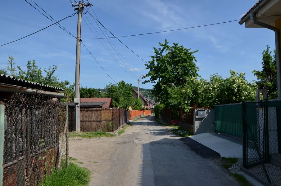 Alexyho ulica