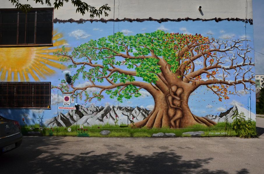 Street art na Solinkách
