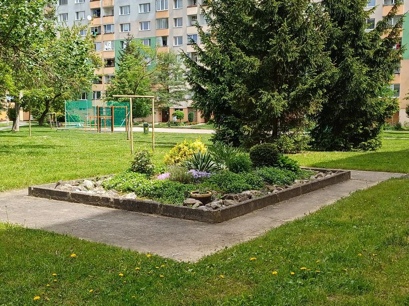 Borová ulica