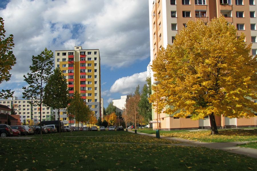 Borová ulica