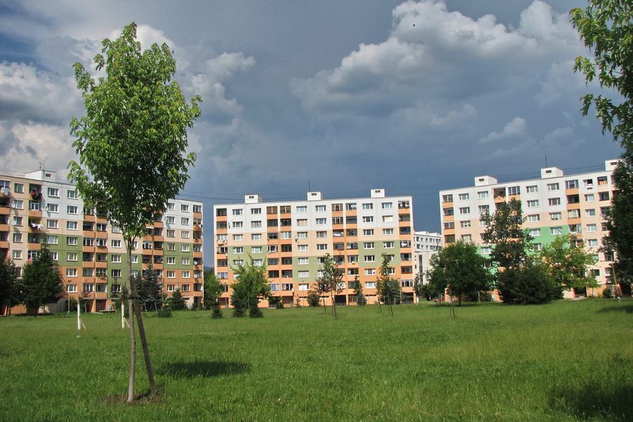 Borová ulica