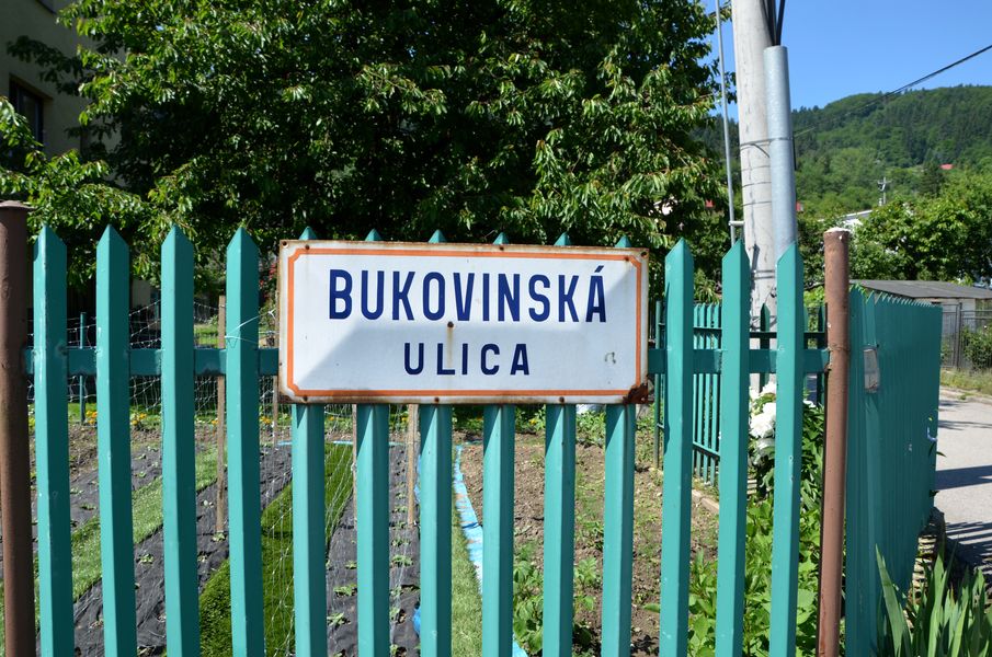 Bukovinská ulica